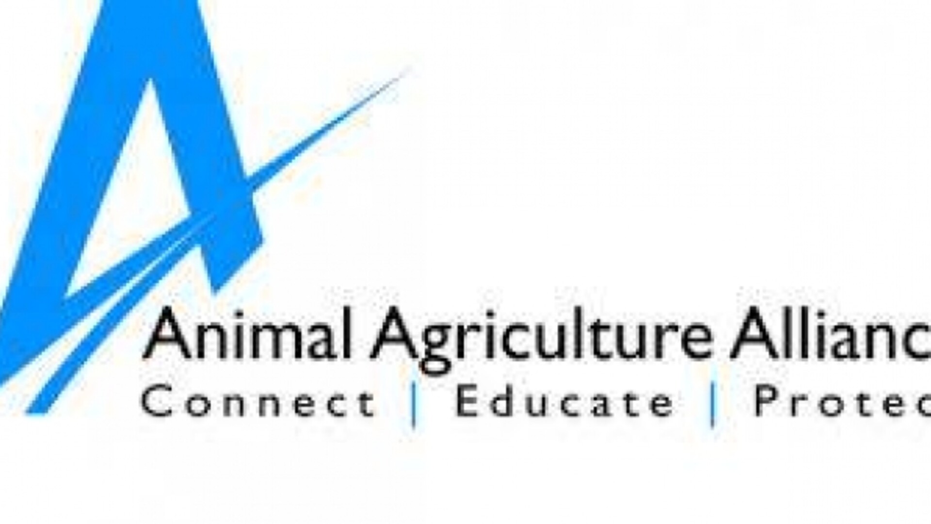 Animal Activism Amid Pandemic Pt 1