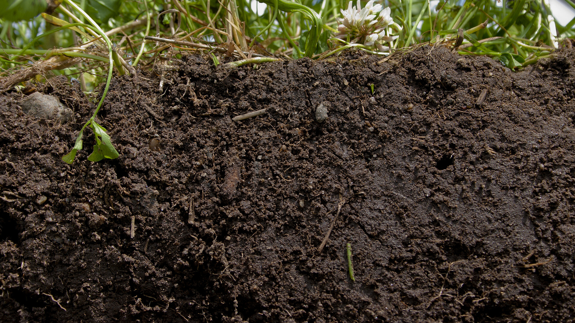 Soil Health WSU Pt 2