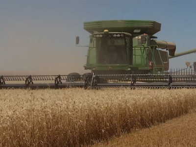 Entries Now Accepted for National Wheat Yield Contest