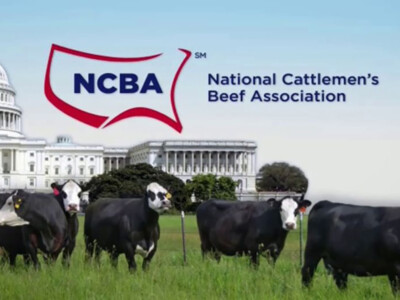 NCBA Sets Policy for 2021