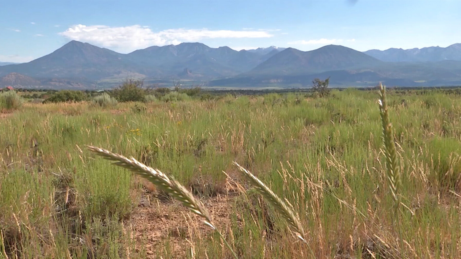 Environmental Lawyer Second in Charge at BLM