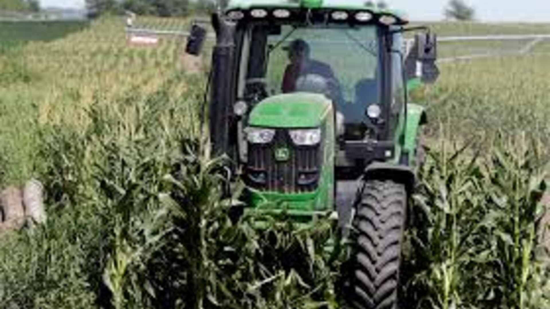 Preparing for 2023 Farm Bill AG INFORMATION NETWORK OF THE WEST