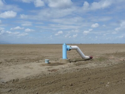 Central Valley Economy Will Hurt Due to 5 % Water Allocation