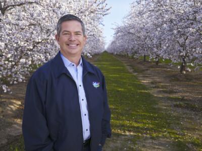 Blue Diamond Growers Innovates Almond Products