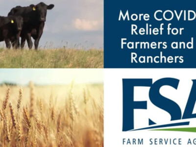 USDA Rolls Out New CFAP Aid