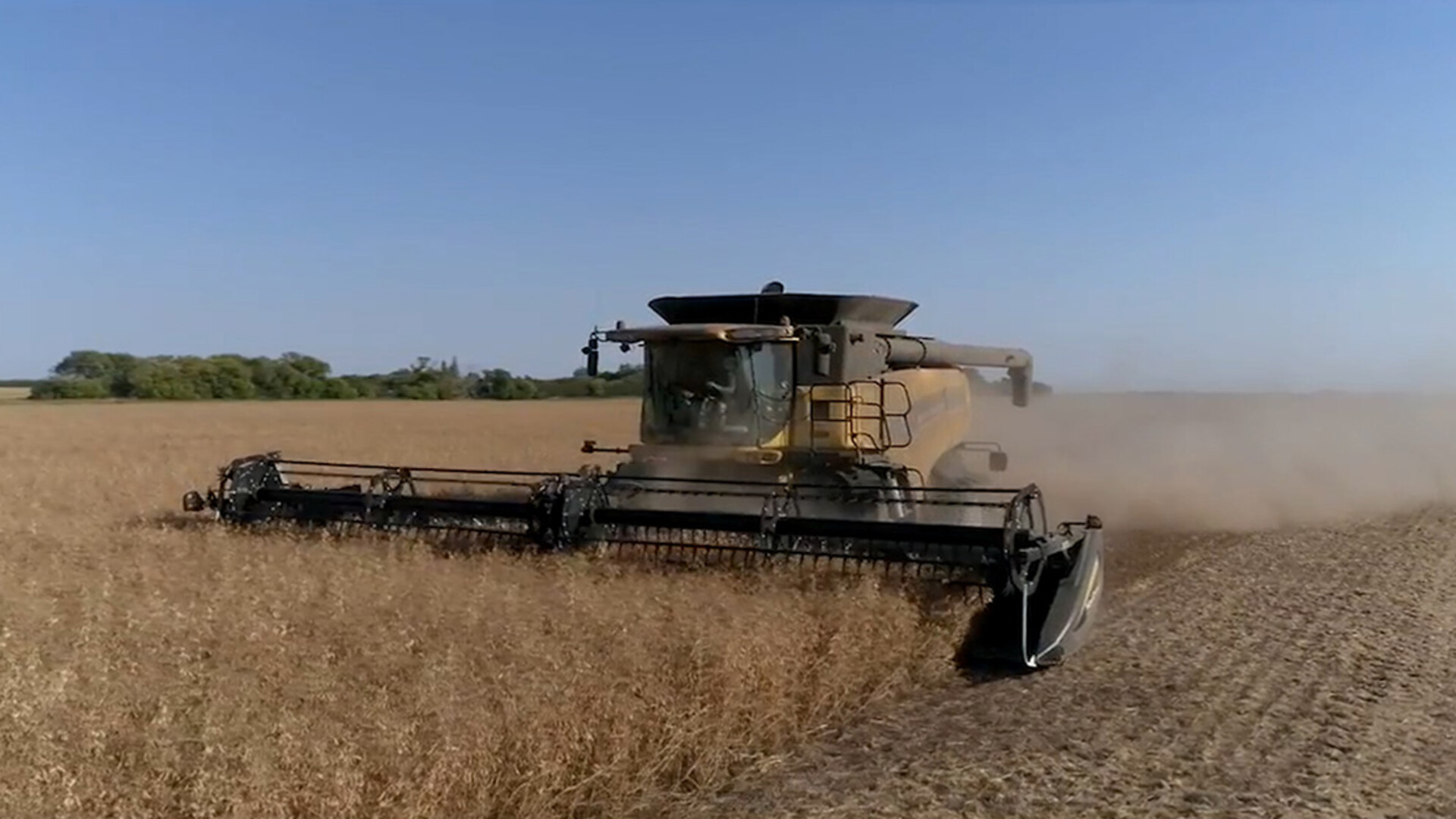 Pulse Growers Encouraged to Sign-Up for QLA Program