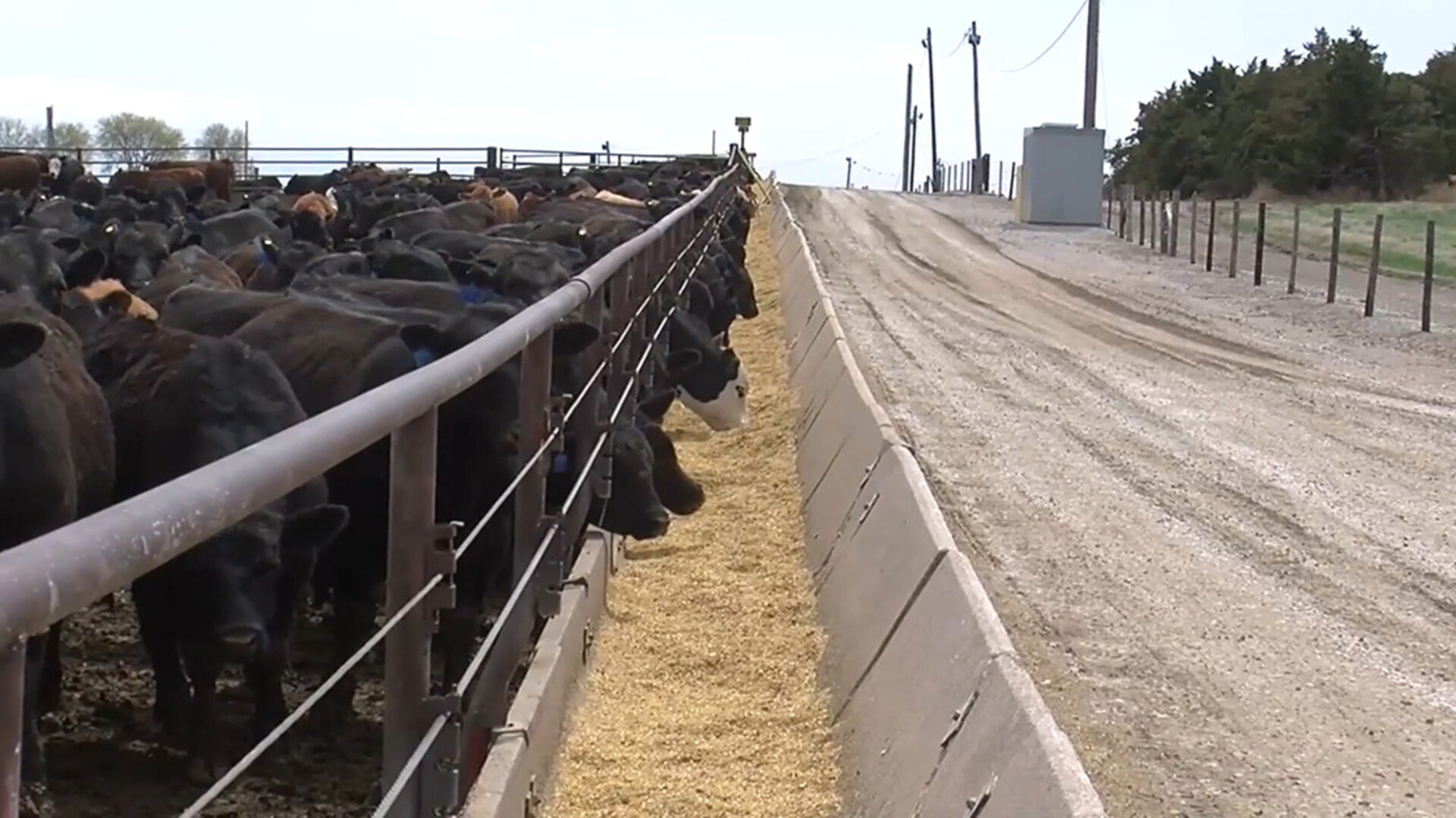 Senators Introduce Spot Market Bill