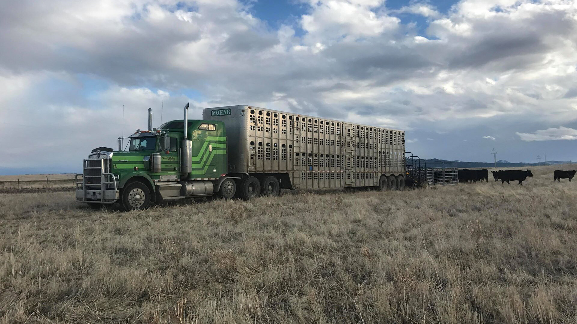 Bipartisan Legislation Would Delay ELD Enforcement for Ag Haulers until Reforms Are Proposed by Transportation Secretary