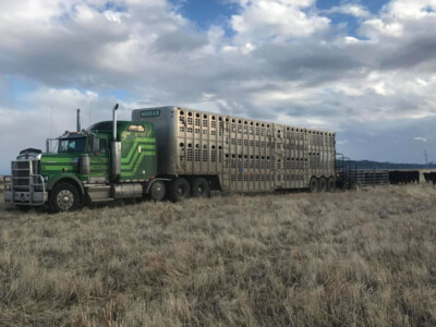 Bipartisan Legislation Would Delay ELD Enforcement for Ag Haulers until Reforms Are Proposed by Transportation Secretary