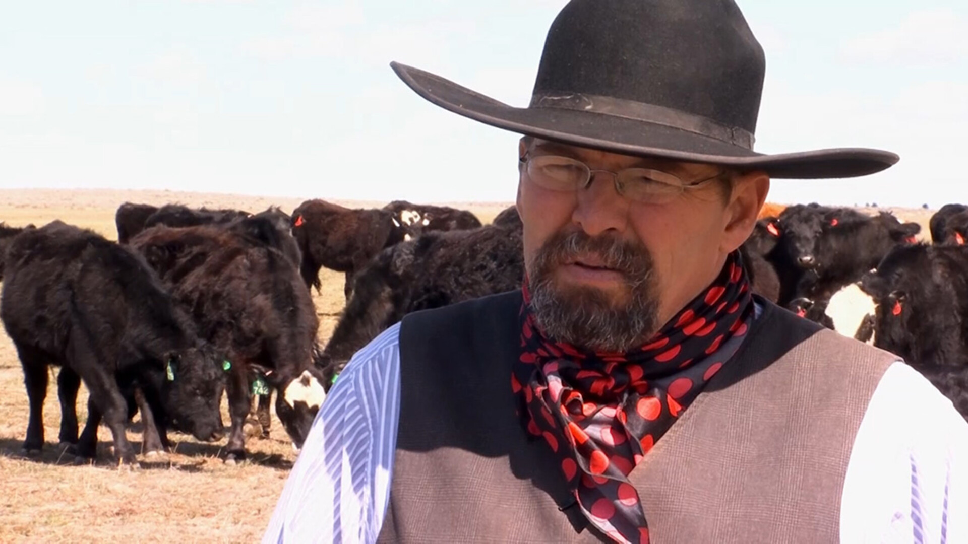 Agriculture Industry Opposes California’s Prop 12