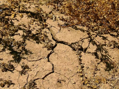 White House Launches Drought Relief Working Group