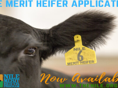 2022 NILE Merit Heifer Application Available