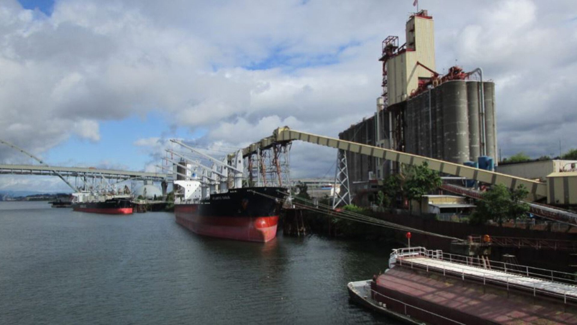 USDA Forecasts Record Farm Exports in FY 2021