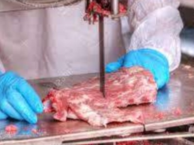 USDA Lets Court Decision on Pork Line Speeds Stand