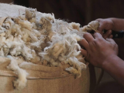 American Wool Assurance Program Launces Website