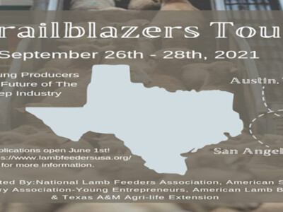 Sheep Industry Announces Trailblazers Tour