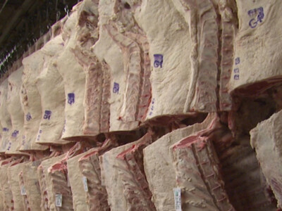 New Legislation Unveiled to Combat Anti-Competitive Practices in Meat Processing Industry