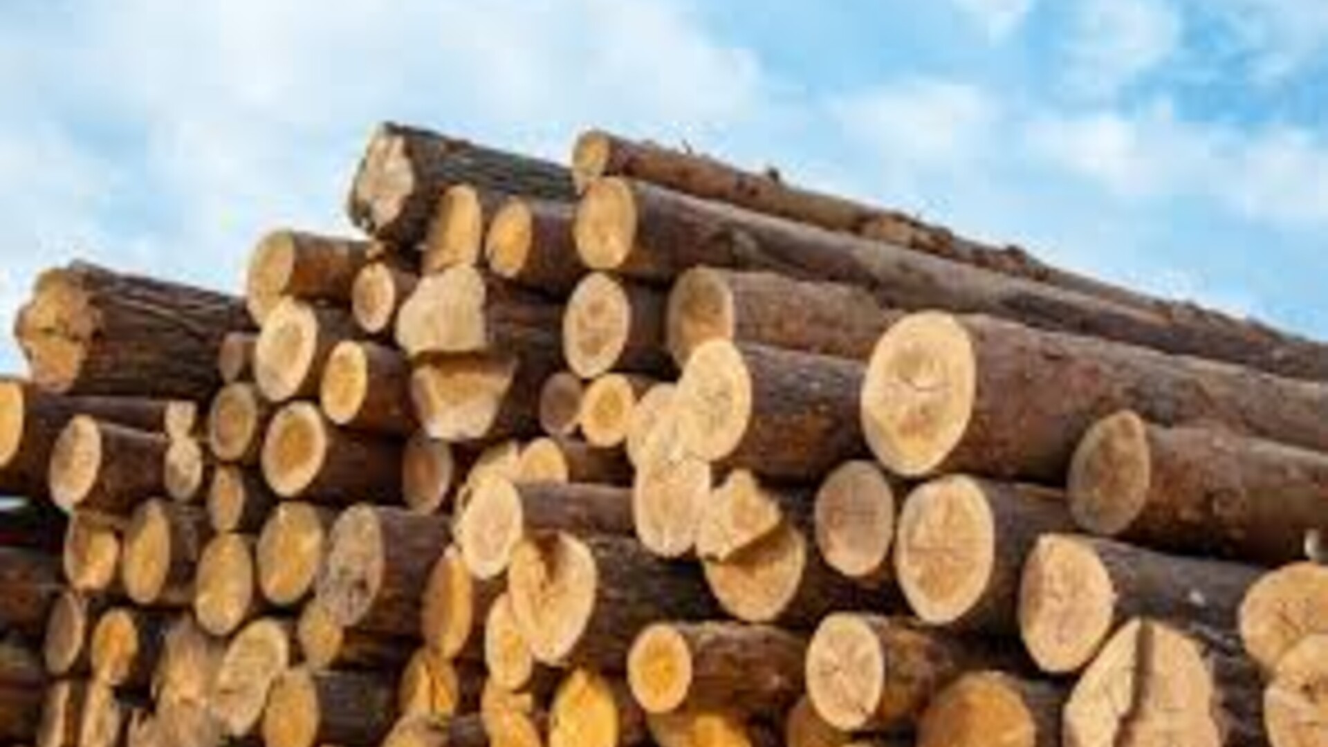 Help for Timber Harvesters and Haulers