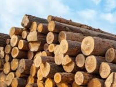 US Wood Products Hearing