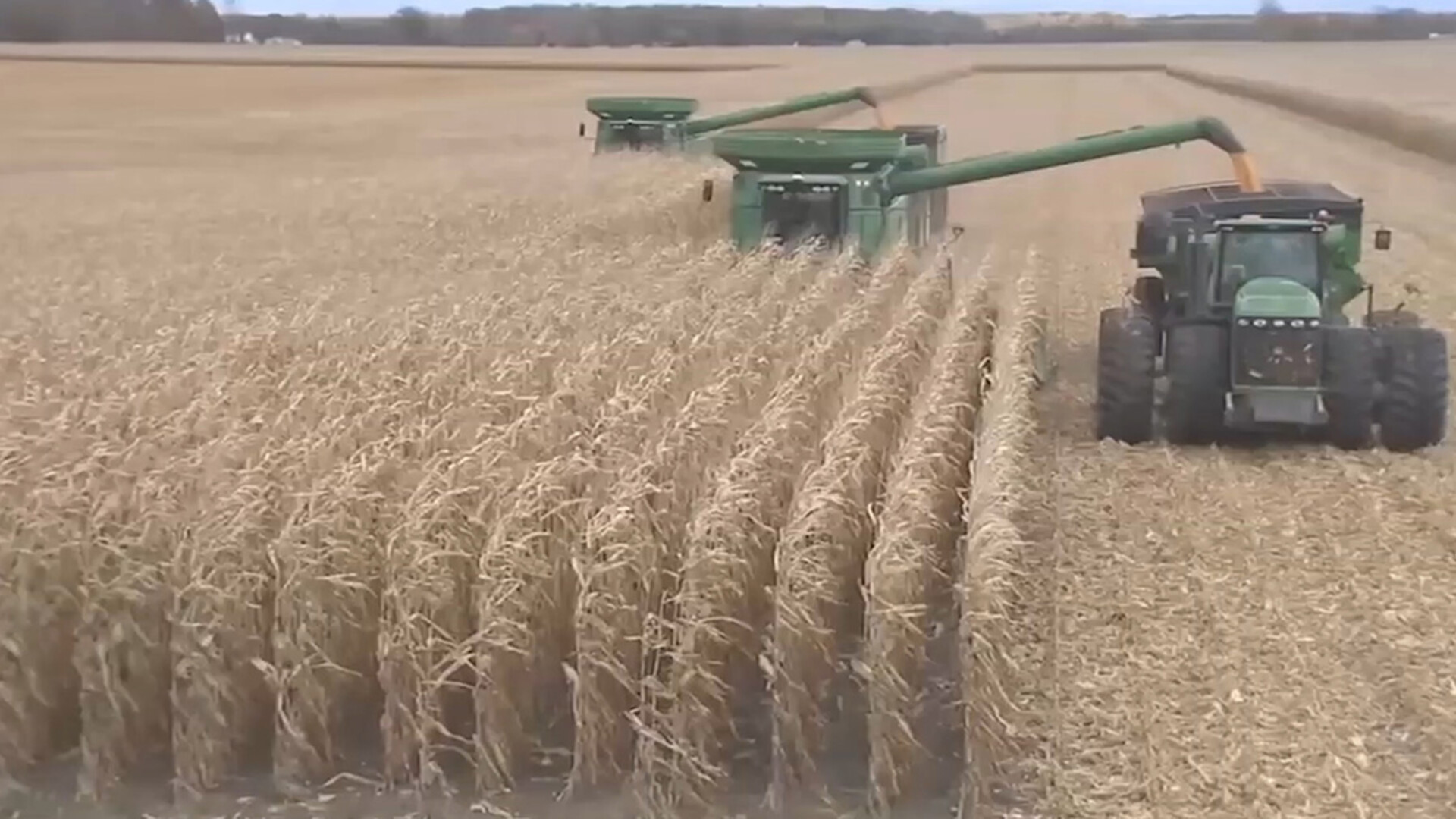 Study Shows How Corn and Soybean Producers Benefit from U.S. Red Meat Exports