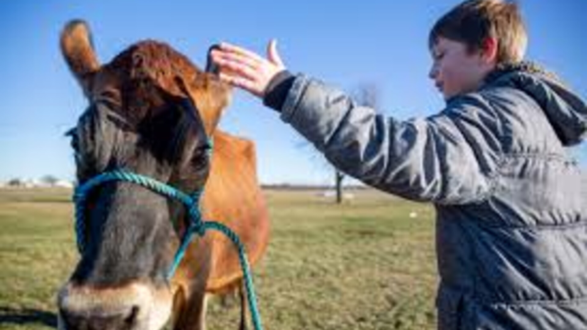 4-H Teens Survey of Broadband