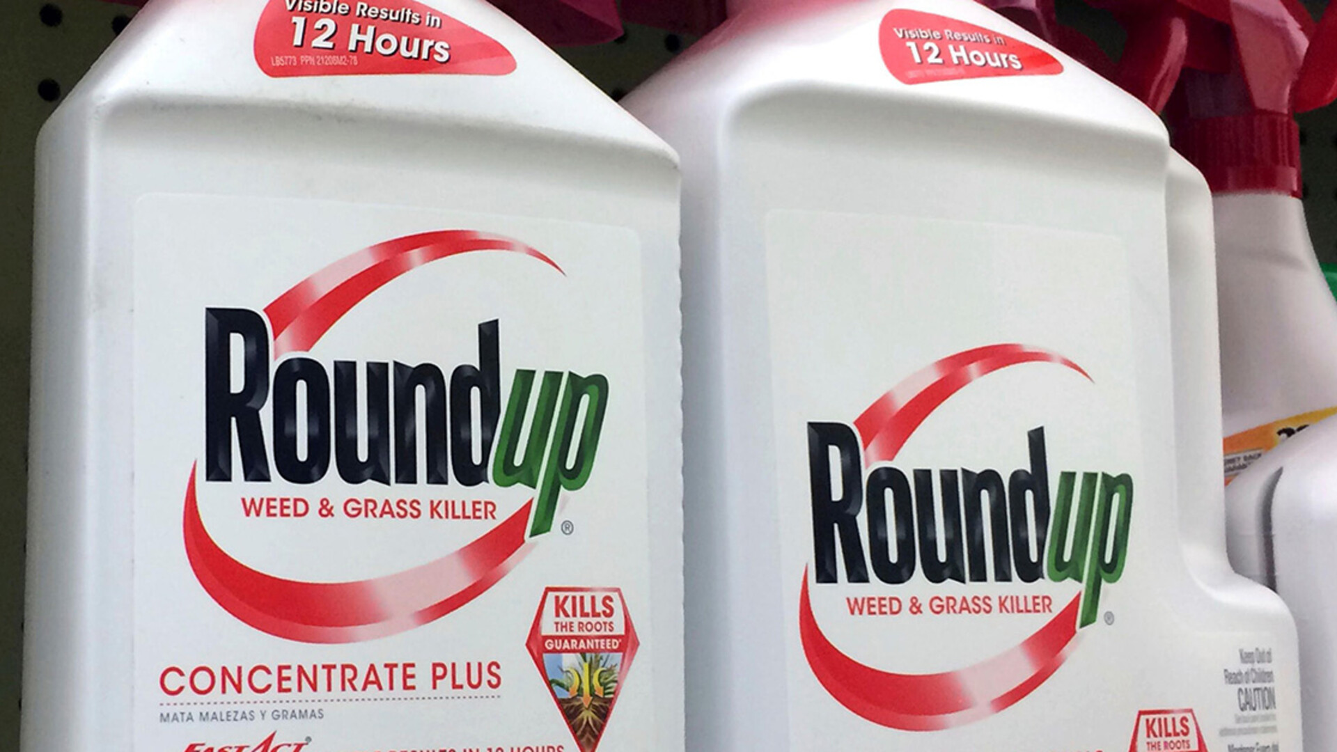 Bayer Petitions US Supreme Court on Roundup Case