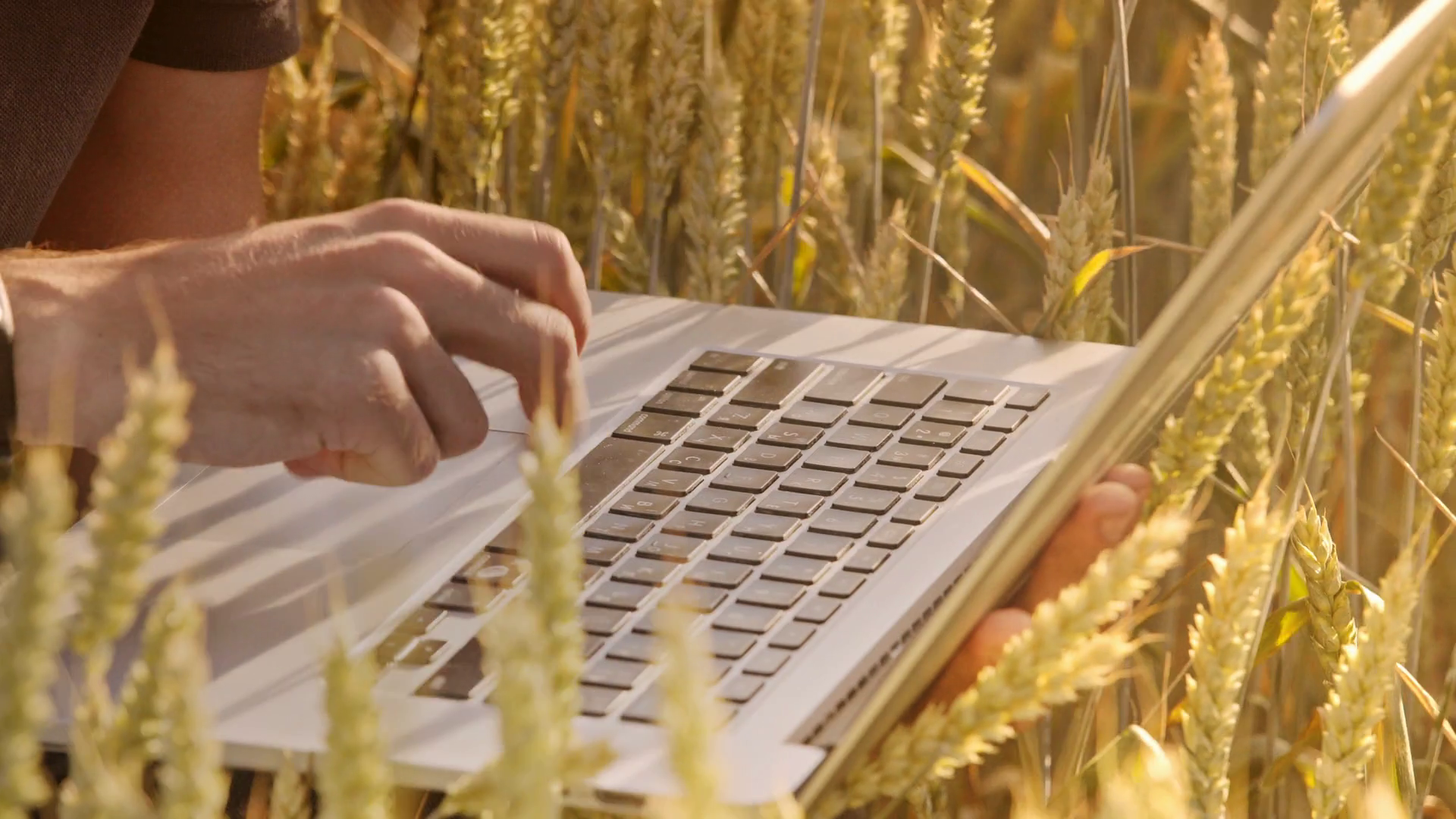 USDA Reports on Farm Computer Usage and Ownership