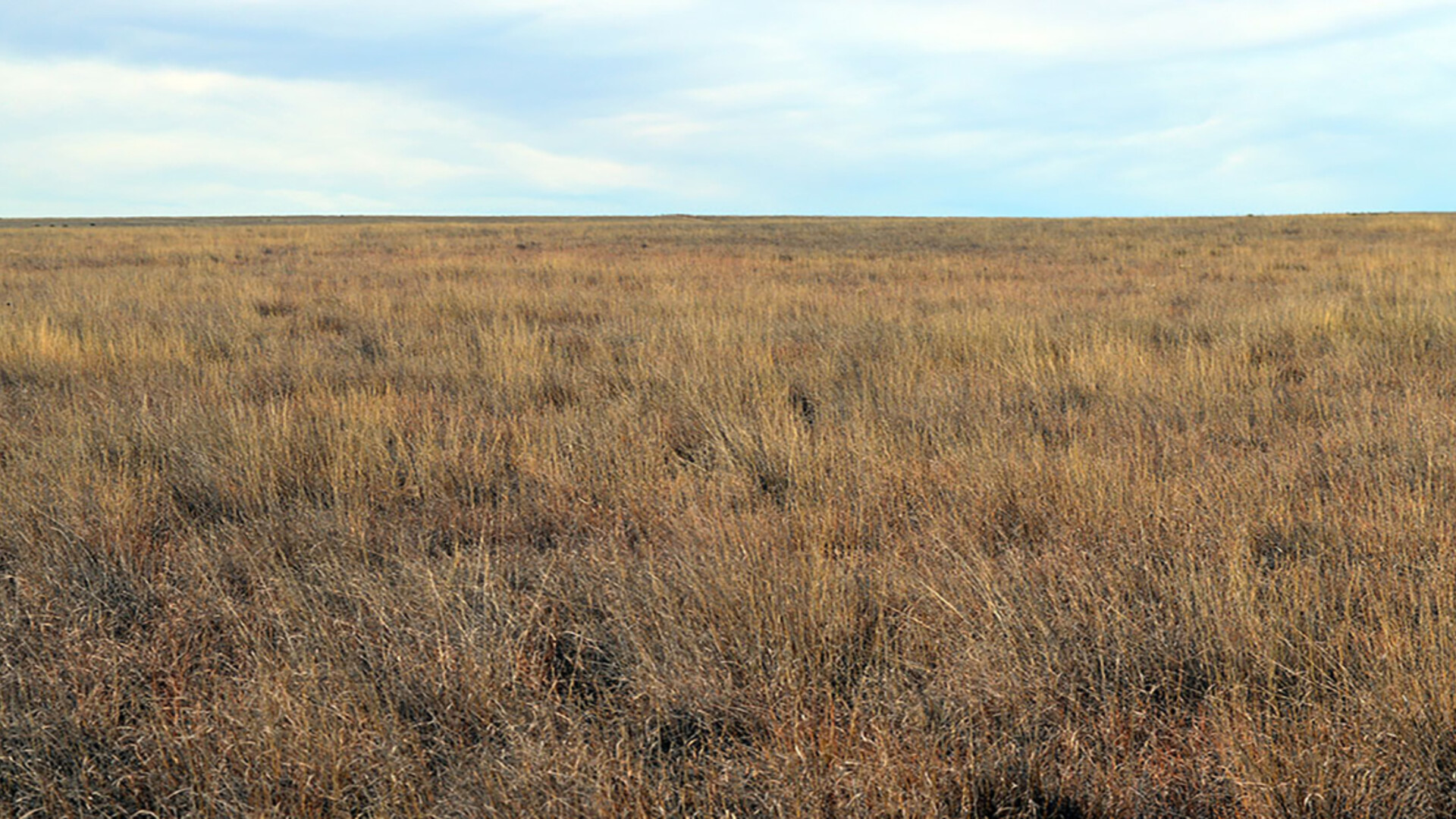 USDA Accepts 2.8 Million Acres for the Conservation Reserve Program