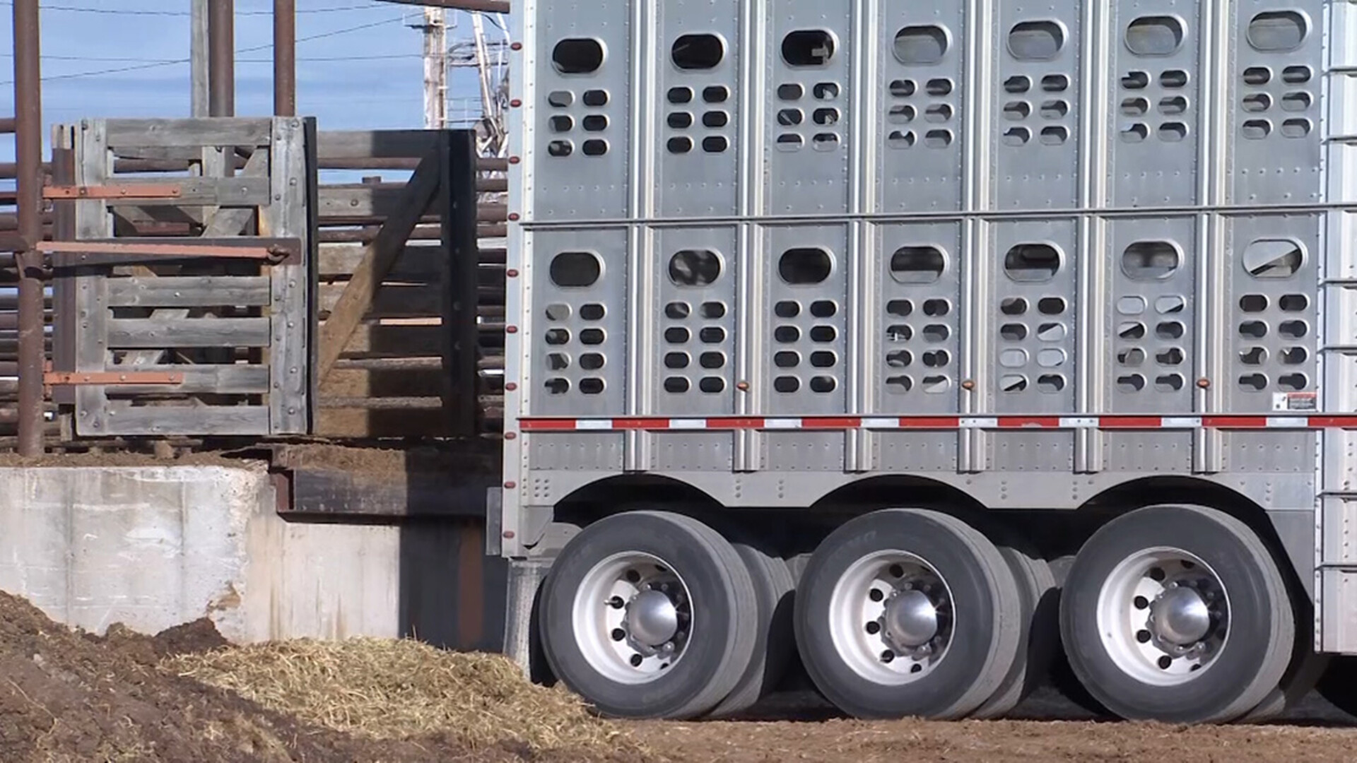 Extension Secured of Critical Exemption for Livestock Haulers