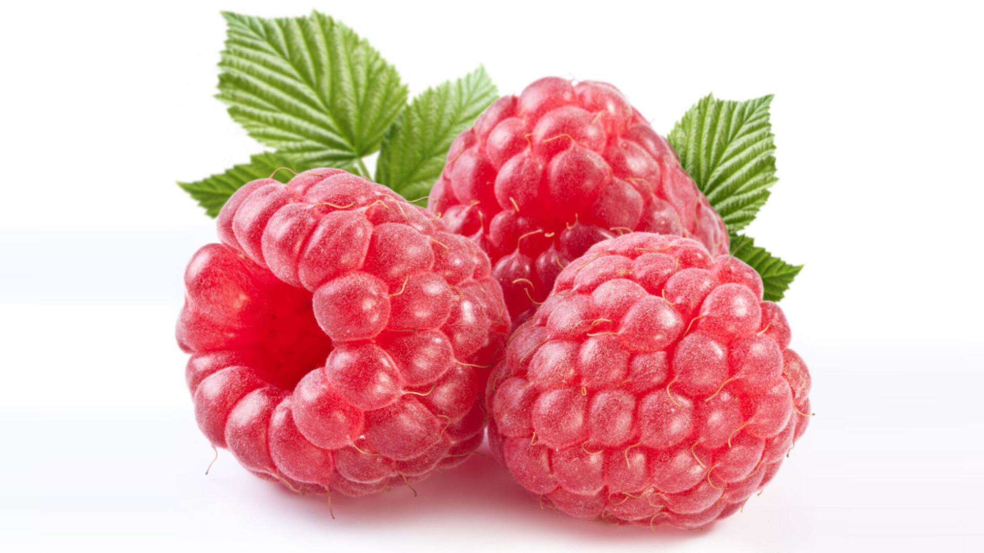 Raspberries are Healthy Pt 1