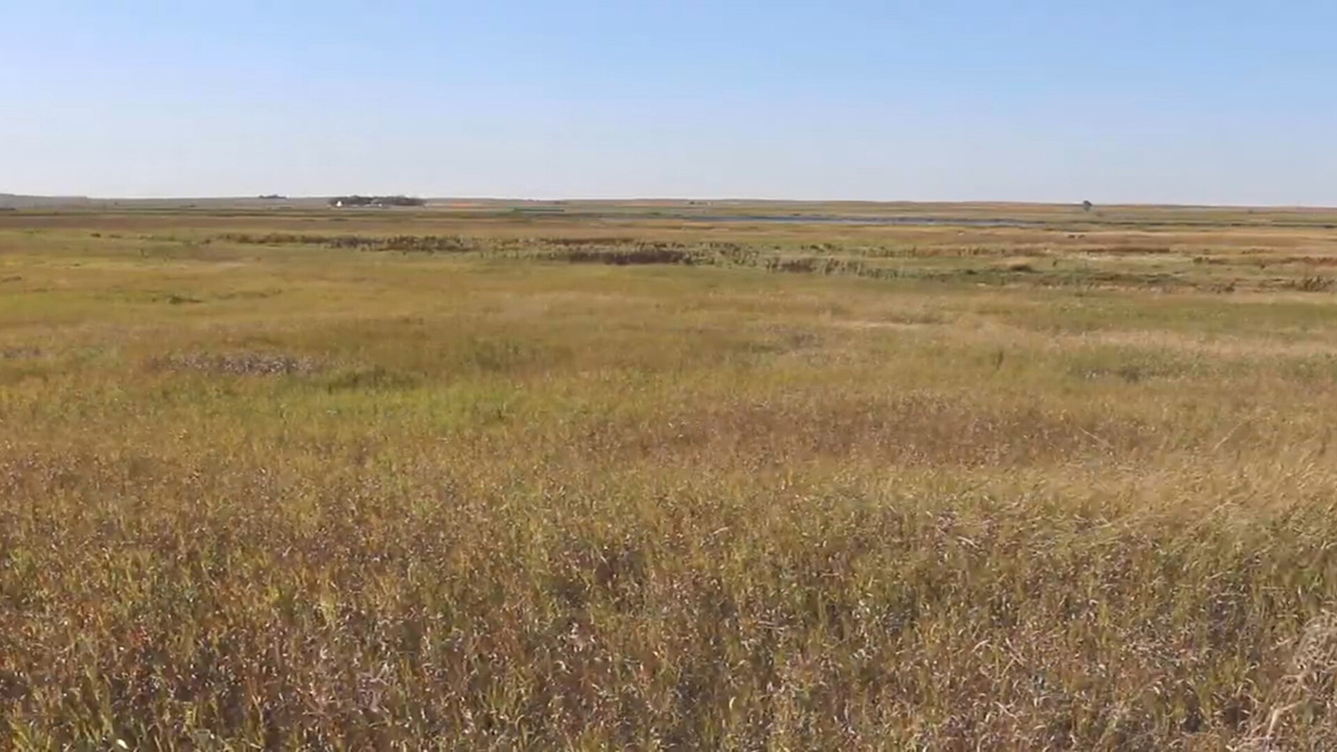USDA Accepts More than 2.5 Million Acres in Grassland CRP Signup