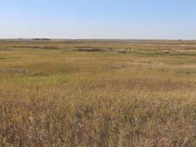 USDA Accepts More than 2.5 Million Acres in Grassland CRP Signup