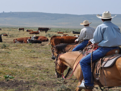 Ranchers Discuss Drought, 30x30 Plan, Wildfires and More during PLC Virtual Annual Meeting