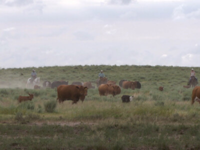 USDA Announces $3 Billion Investment in Agriculture Package with Drought Relief Funds