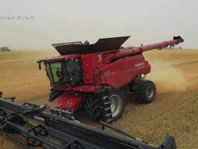 Columbia Grain Helping Farmers Market Wheat Crop Impacted by Drought
