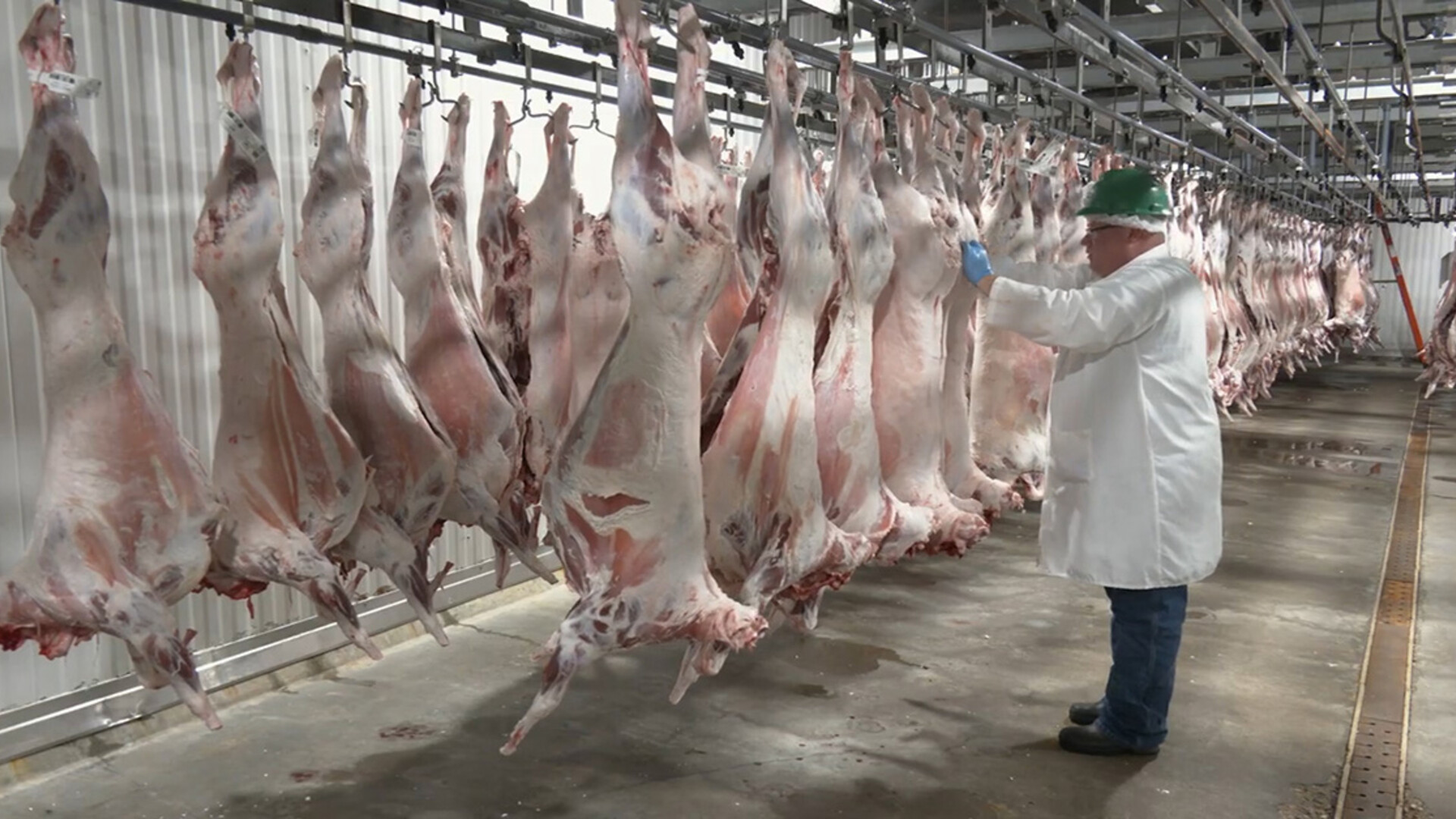 New Lamb Quality Video Series Now Available