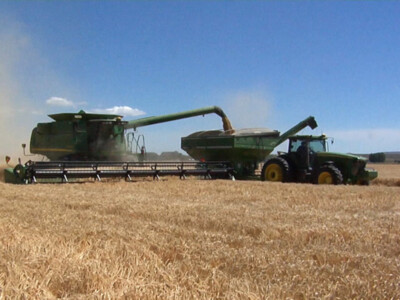 Craft Beer Industry Grows Demand For Barley In Mexico