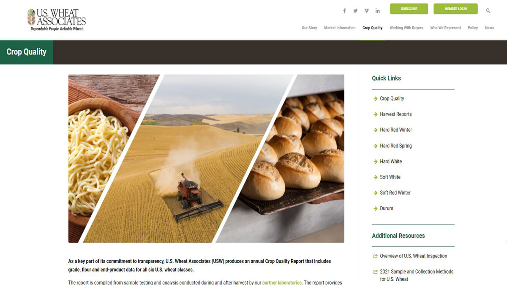 U.S. Wheat Associates Renovated Website Increases Focus On Crop Quality