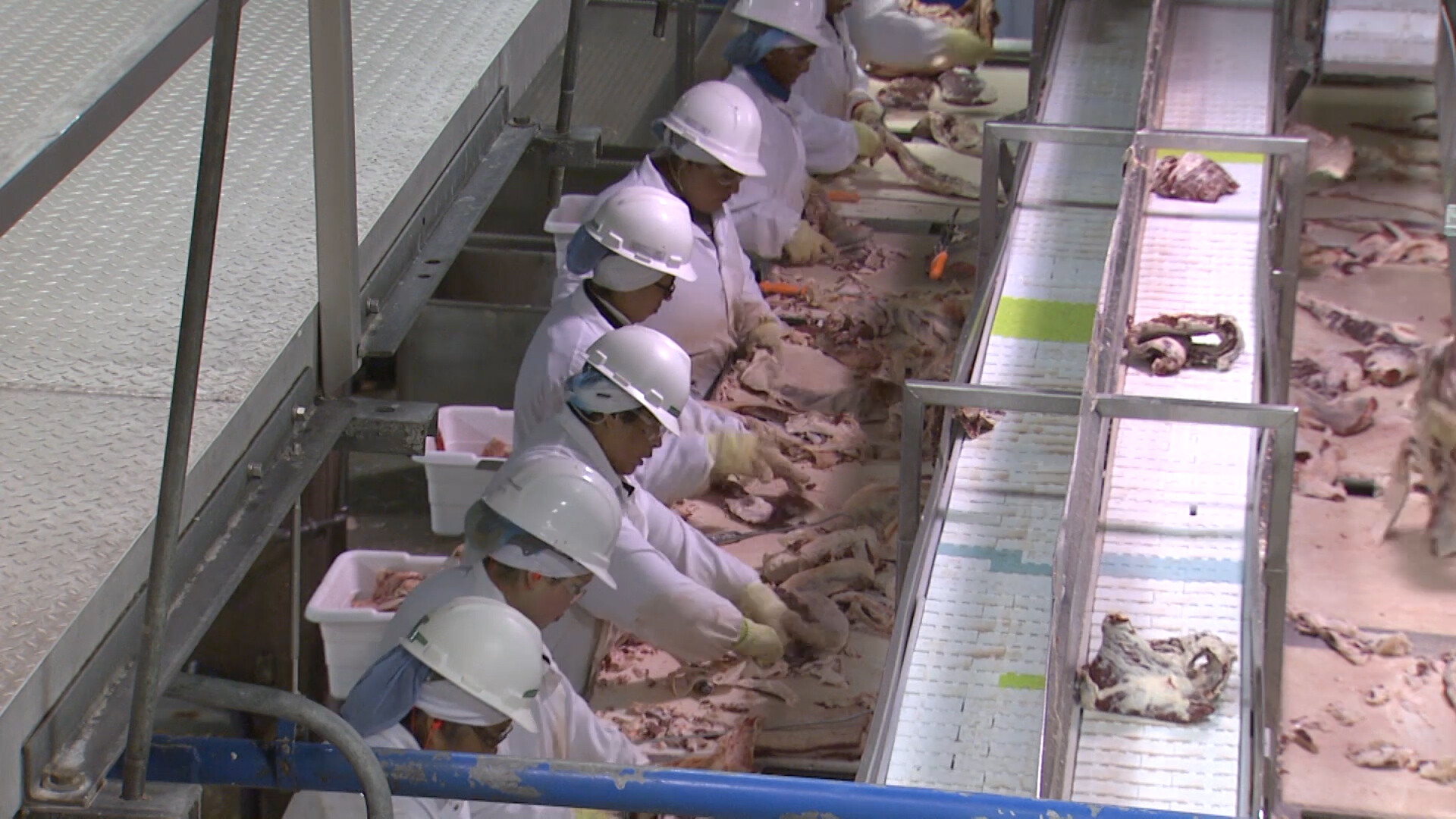 President Biden to Spotlight Challenges in Livestock Markets, Meatpacking Industry