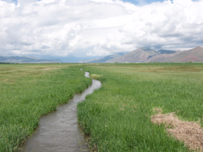 Farm Bureau Says Changes to Clean Water Rule Will Hurt Family Farms