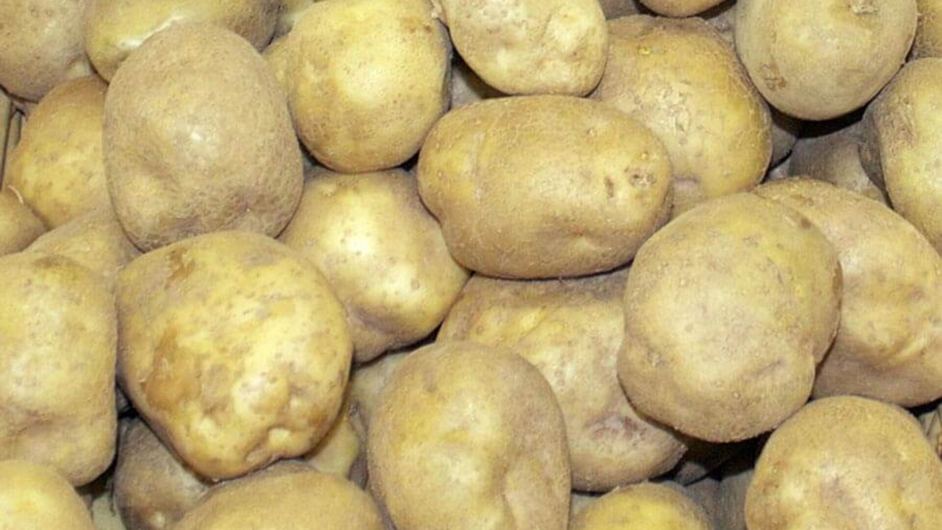 Profitability in Potatoes Pt 1