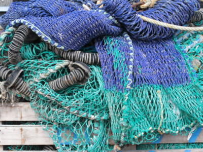 $50,000,000 in Grants Allocated to Help Seafood Industry