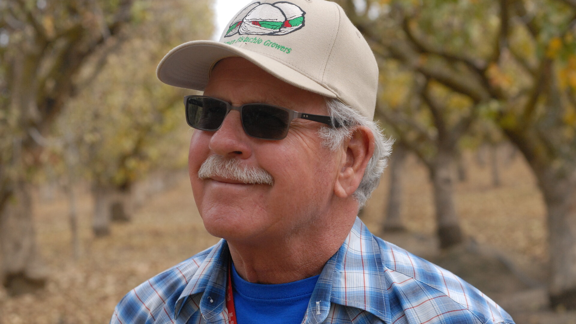 Controlling Soft Scale and Mealybugs in Pistachios