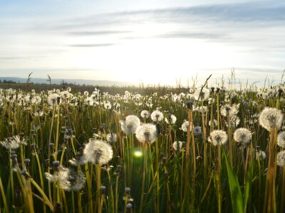 Weather Concerns Drive Commodity Price Movement