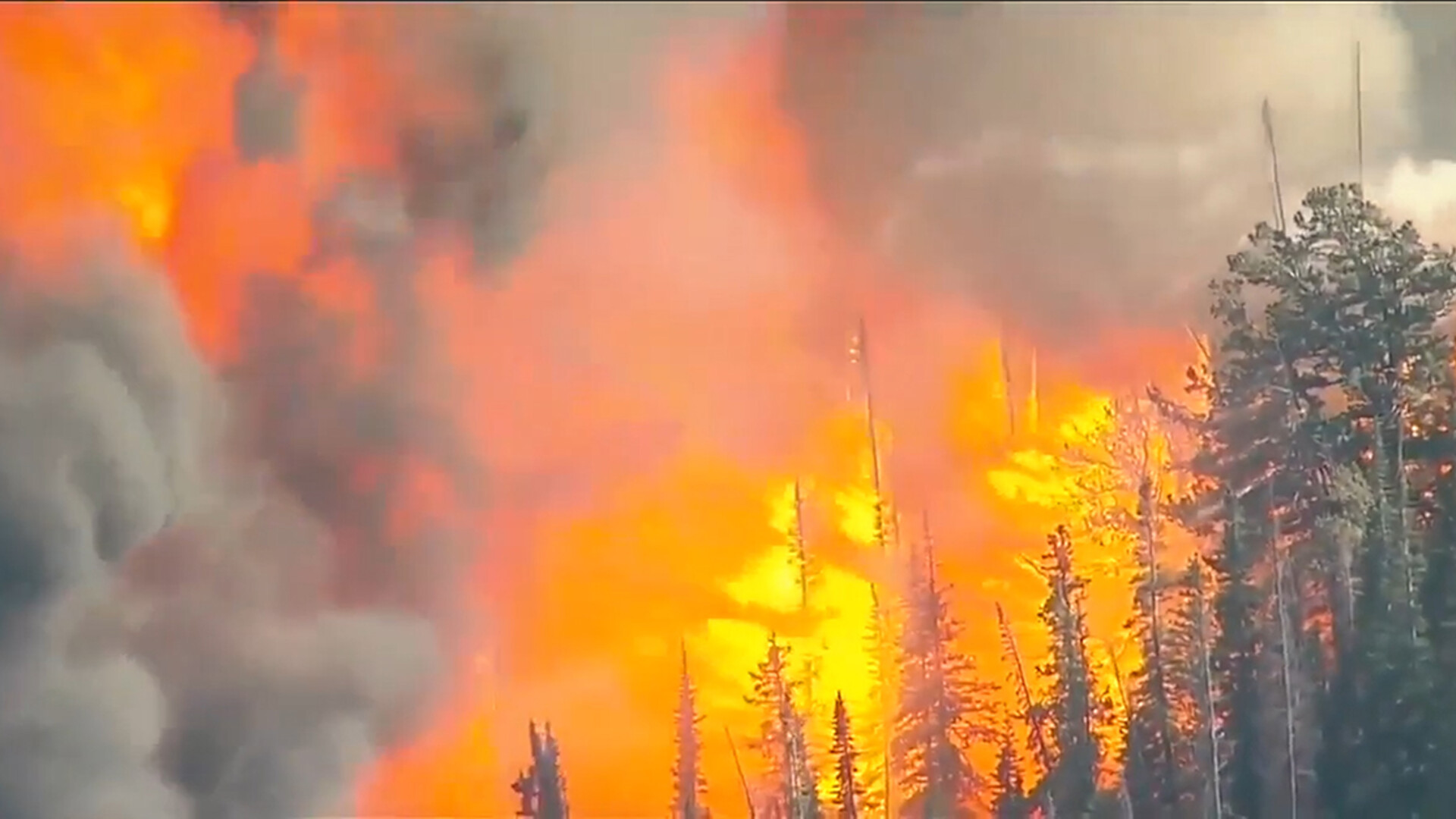 Forest Service Ready for Rough Fire Season Which Has Already Begun