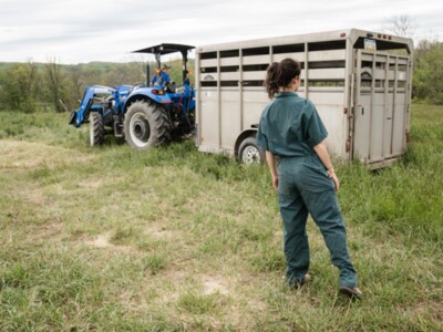 New Organization to Represent Women in the Meat Industry