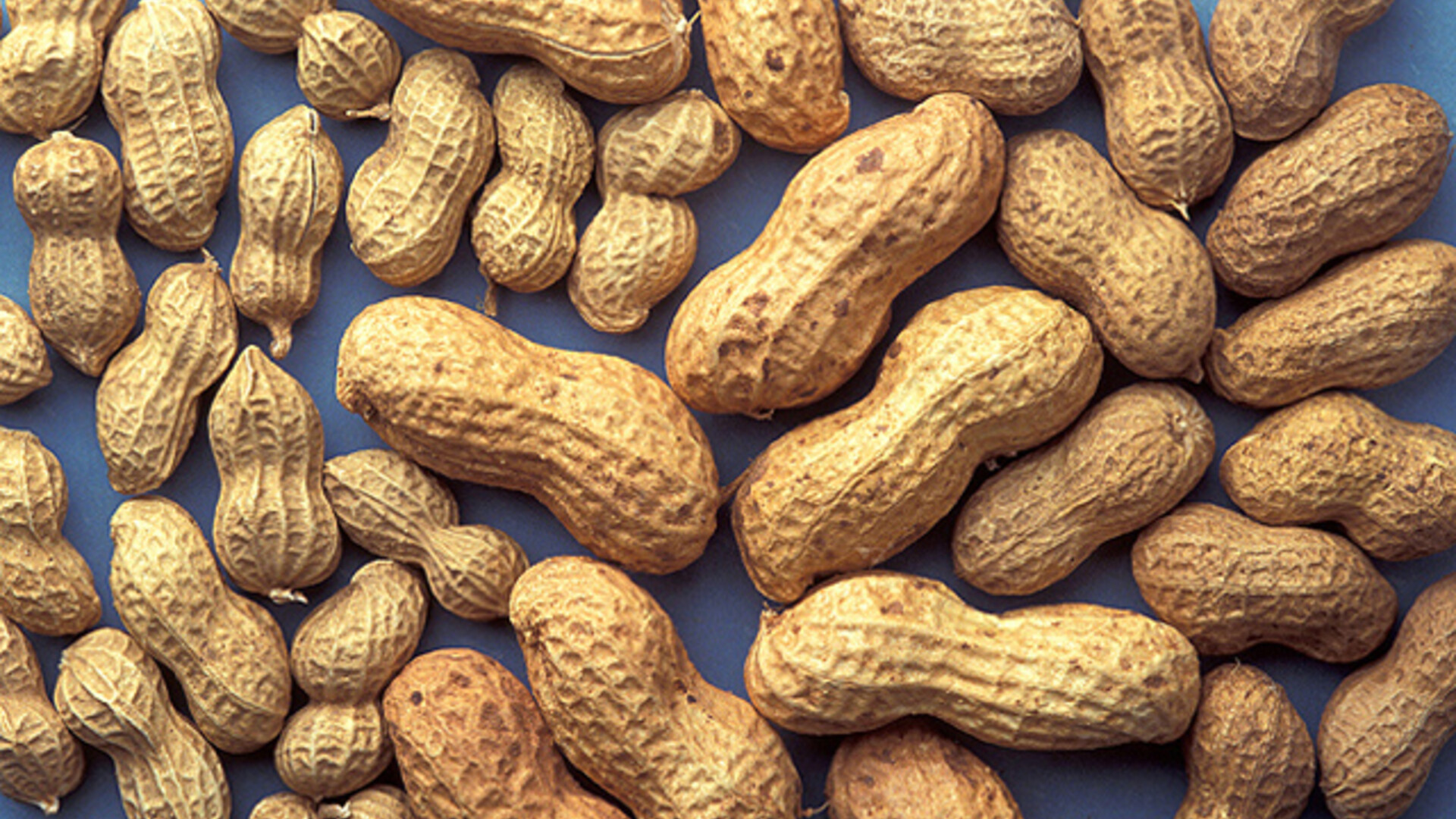 Peanuts More Water Efficient Than Ever