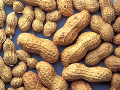 Peanuts More Water Efficient Than Ever