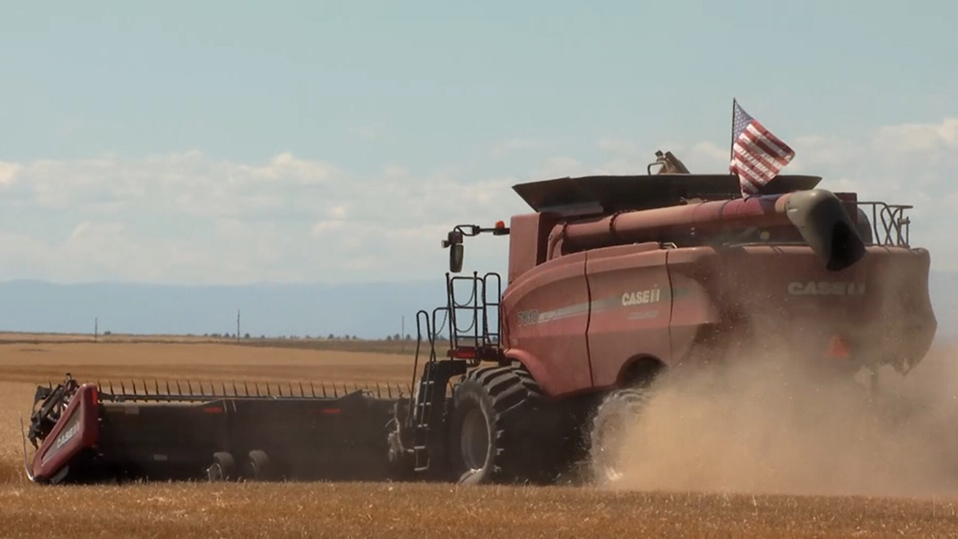 U.S. Wheat Associates Analysis on Biden Administration's Indo-Pacific Economic Framework