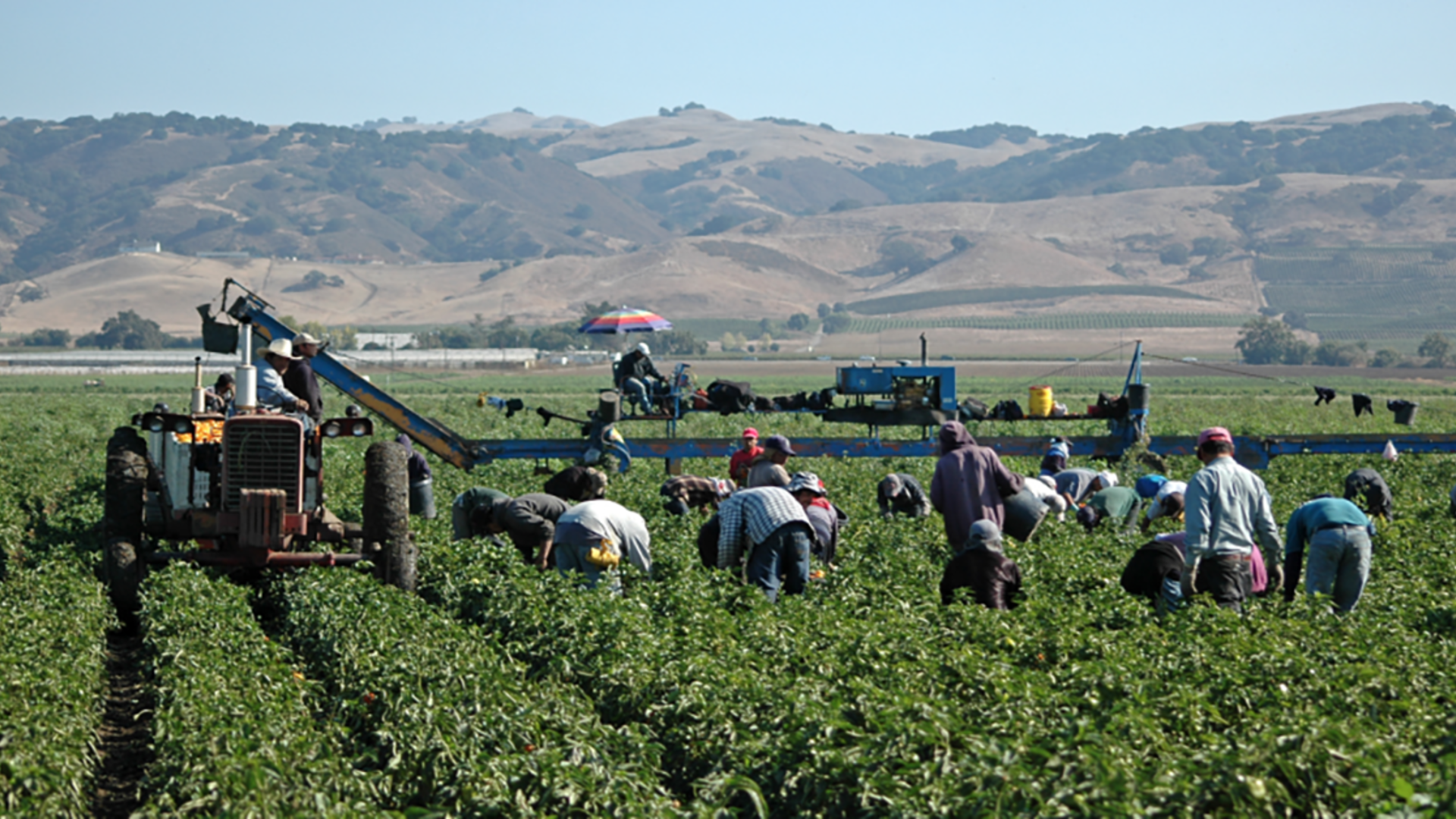 Labor Shortage Continues to Hurt U.S. Farmers and Ranchers